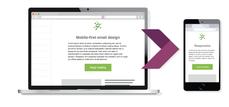 Mobile Optimised Responsive Email